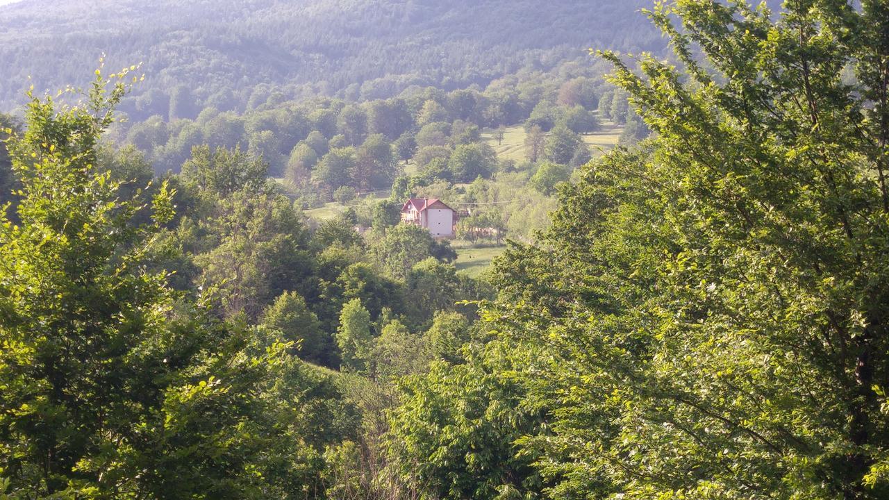 Casa Din Piatra Hotel Poiana  Bagian luar foto