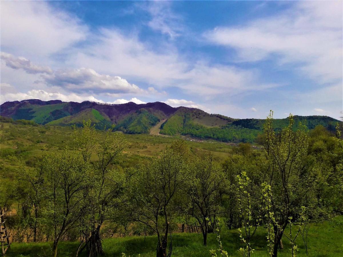Casa Din Piatra Hotel Poiana  Bagian luar foto