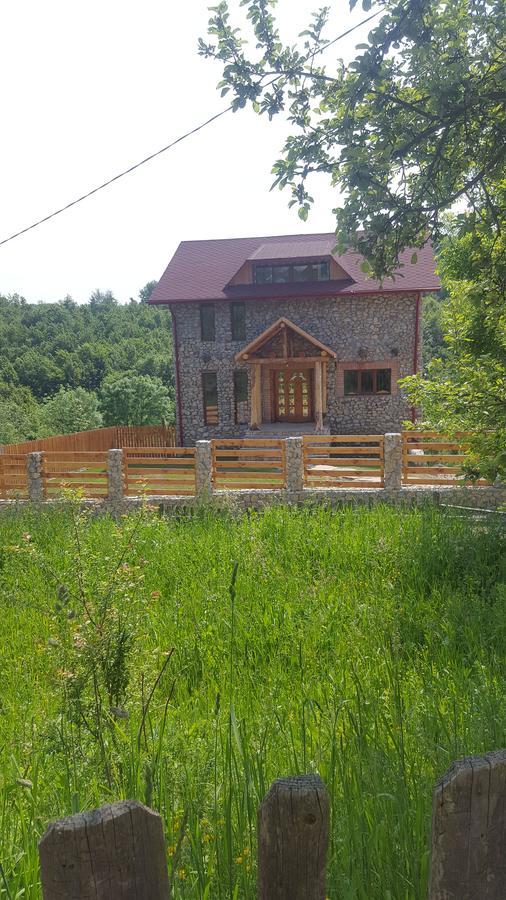Casa Din Piatra Hotel Poiana  Bagian luar foto