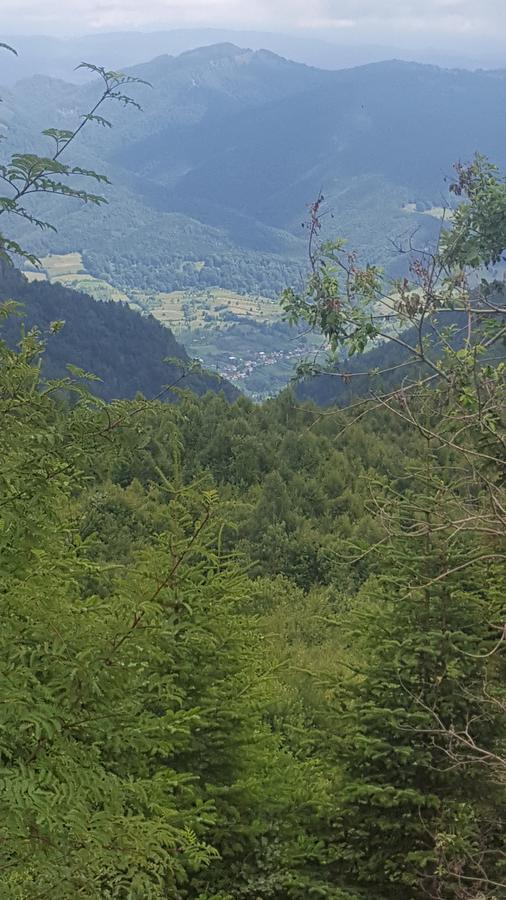 Casa Din Piatra Hotel Poiana  Bagian luar foto
